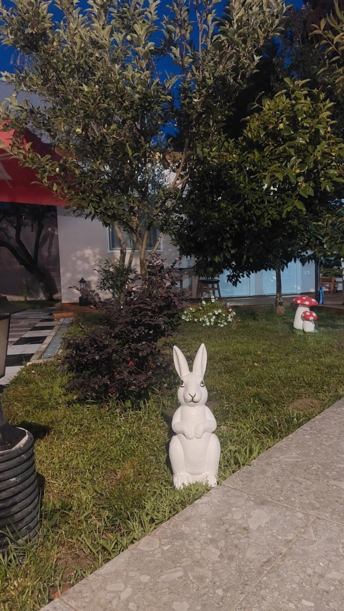 Vila Hyseni Dıraç Dış mekan fotoğraf